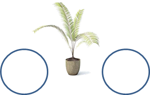 http://www.3dmodels.su/products_pictures/Vol_24komcvet07.jpg