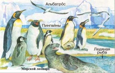 Описание: C:\Users\ДДТ\Desktop\атарк..jpg
