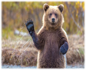 http://mainfun.ru/pics/9/145/118.jpg
