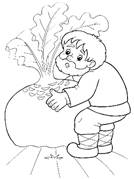 https://i.pinimg.com/originals/ae/98/35/ae98355f7bbee32ac66c102c27beda86.jpg