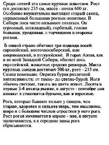 Среди оленей это самое крупное животное. Рост его достигает 235 см, масса - почти 600 кг. Особенно внушительно выглядит старый самец, украшенный большими рогами-лопатами. В Сибири лося часто называют сохатым. Он огромный, нескладный), горбатый, голова большая, уродливая, с торчащими в стороны рогами. 
 В нашей стране обитают три подвида лосей: европейский, восточносибирский, или американский, и уссурийский.  В горах Алтая, как и во всей Западной Сибири, обитает лось европейский, животное средних размеров. Масса крупных самцов достигает 500 кг, рост - 215 см. Самки поменьше. Окраска бурая различной интенсивности: от темно- до светло-бурой. Ноги обычно светлые, такого же цвета живот. Лосята в первые 3-4 месяца рыжие, в августе - сентябре они линяют и становятся бурыми, как и взрослые. 
Рога, которые бывают только у самцов, чем старше, здоровее и сильнее зверь, тем массивнее, шире и с большим числом отростков у него рога. Рост рогов начинается в апреле - мае, в августе заканчивается, а к середине зимы рога сбрасываются.  
 
