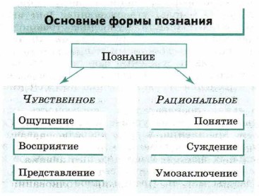 Умозаключение восприятие ощущение представление. Основные формы познания. Схема основные формы познания 10 класс Обществознание. Познание основные формы познания. Схема формы чувственного познания.