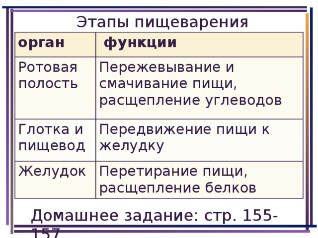 Этапы пищеварения орган  функции Ротовая полость Пережевывание и смачивание пищи, расщепление углеводов Глотка и пищевод Передвижение пищи к желудку Желудок Перетирание пищи, расщепление белков Домашнее задание:  стр. 155-157