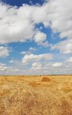 Познавательный час"Степь моя -кормилица России" 2024, Ипатовский район - дата и 