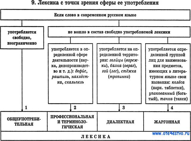 http://www.ote4estvo.ru/uploads/posts/2017-05/leksika-s-tochki-zreniya-sfery-ee-upotrebleniya.jpeg