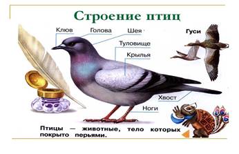 Picture background