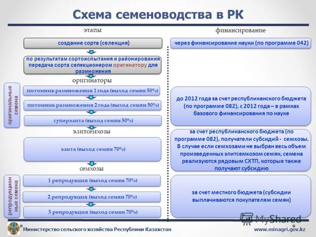 http://images.myshared.ru/5/391206/slide_2.jpg