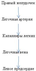 Описание: http://festival.1september.ru/articles/637179/img2.gif