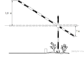 https://math-oge.sdamgia.ru/get_file?id=2392&png=1