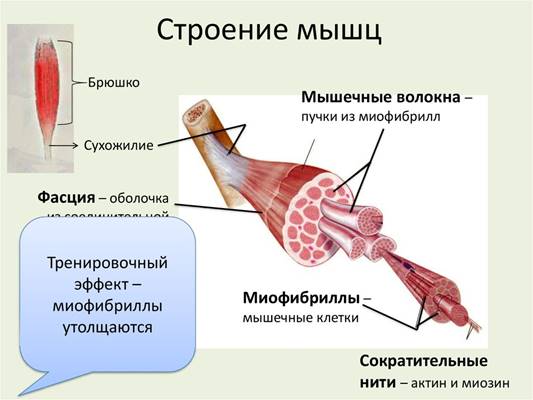 https://cf.ppt-online.org/files/slide/0/0gqO1oEAwNTWdkbhcpaRlfJr2ej9D5nyKYSt46/slide-21.jpg