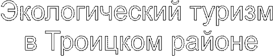Экологический туризм
 в Троицком районе