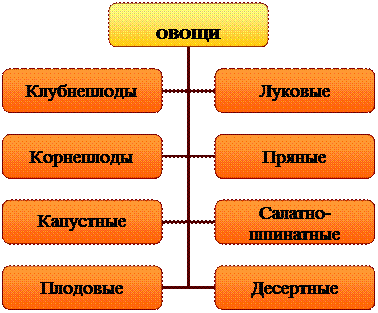 Организационная диаграмма