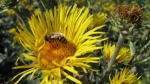 foto-10.jpg