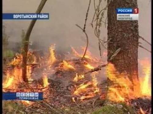 http://static.vmurmanske.ru/serverdata/news_info/2010/07/01/634969/imgFull.jpg