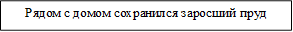 Рядом с домом сохранился заросший пруд