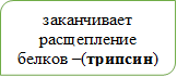 заканчивает расщепление белков –(трипсин)

