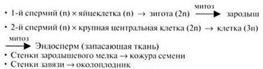 https://compendium.su/biology/9klass_2/9klass_2.files/image026.jpg