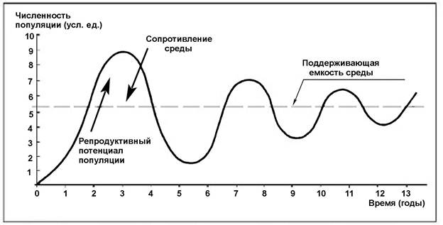 Численность популяции. Саморегуляция популяции. Графики популяции. Механизмы регуляции численности популяции рыб.