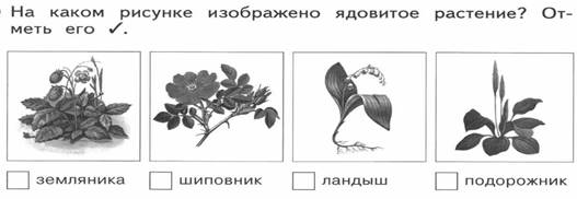 https://cdn2.arhivurokov.ru/multiurok/html/2017/09/29/s_59ce52dd39d06/698300_6.png