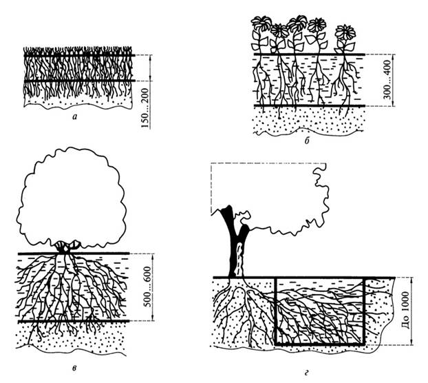 Рис. 8.3. Потребность в плодородном слое почвы для растений: а — для газонов; б — для цветников; в — для кустарников; г — для деревьев