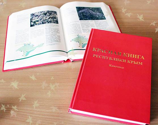 &Kcy;&rcy;&acy;&scy;&ncy;&acy;&yacy; &kcy;&ncy;&icy;&gcy;&acy; &Kcy;&rcy;&ycy;&mcy;&acy;