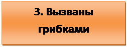 Надпись: 3. Вызваны грибками 