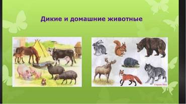 https://ds05.infourok.ru/uploads/ex/01c6/00033615-ef42f22e/img0.jpg