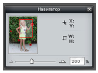 Навигатор