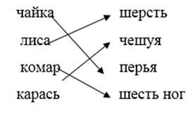 Установите соответствие