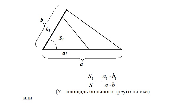 Отгошение их основание 