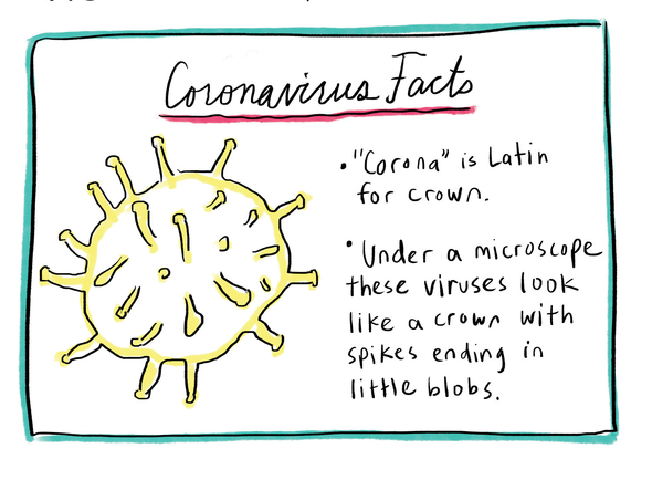 Факты о коронавирусе