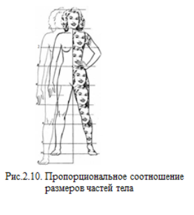 типы пропорций тела человека: