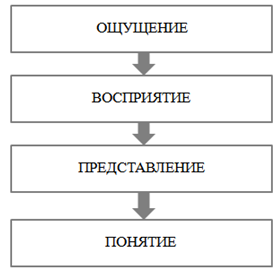 Чувственное ощущение представление