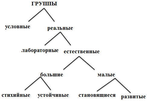 Лабораторная работа: Психолого-педагогическая характеристика малой группы