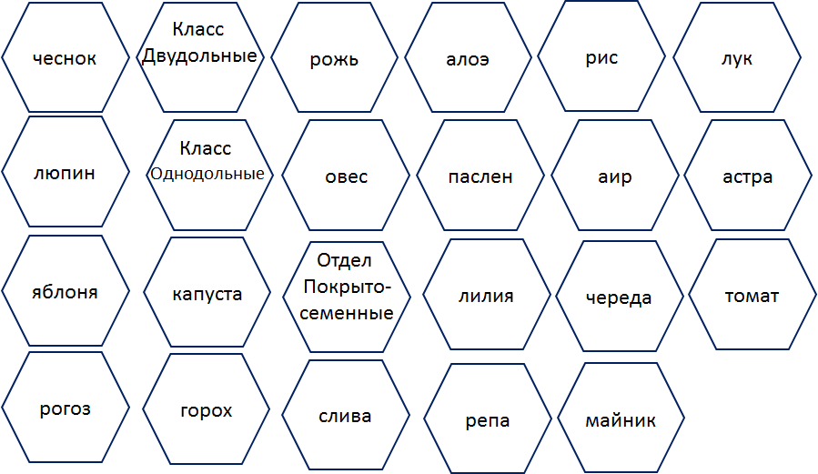 Шестиугольник блок схема