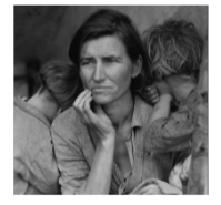 Документальная фотография