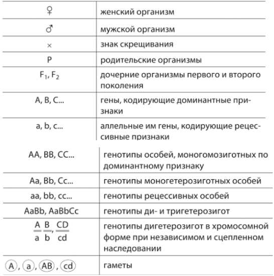 Символы генетики 10 класс. Обозначения и символы в генетике. Символы по биологии генетика. Буквенные обозначения в генетике. Основные понятия и символы в генетике.