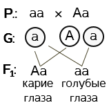 задача