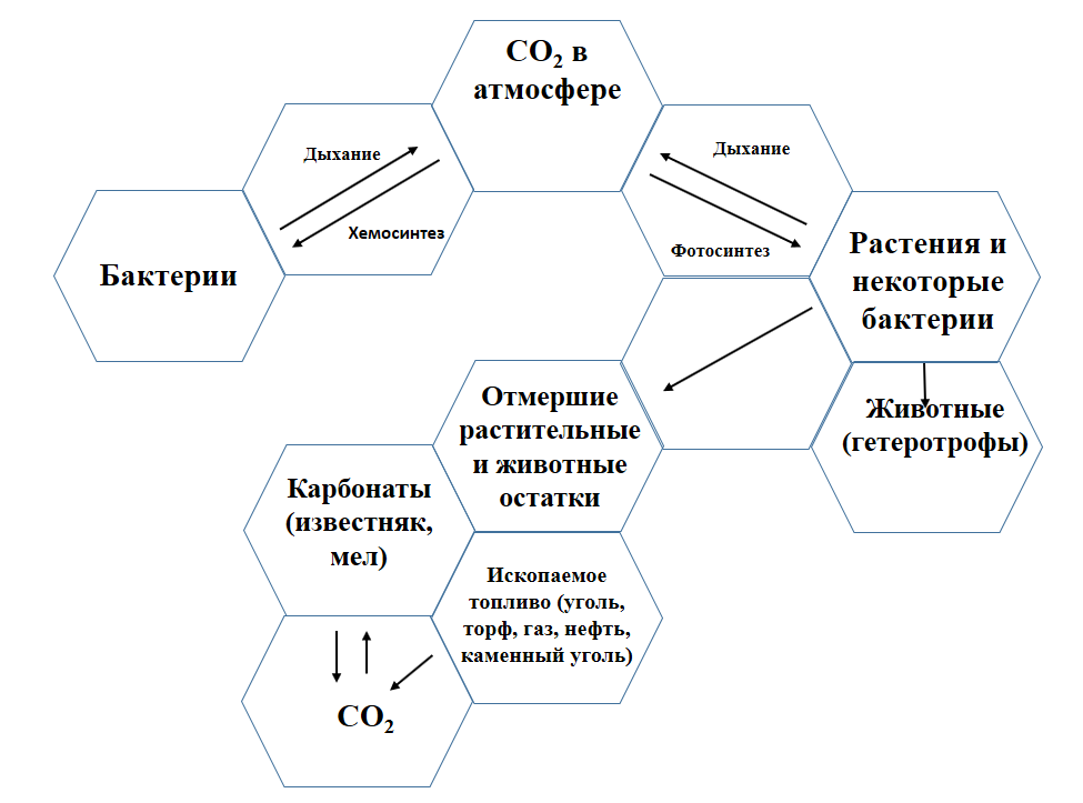 Гекс по рассказу группы 2