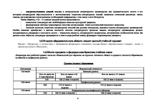 Итоговый проект по литературе 10 класс