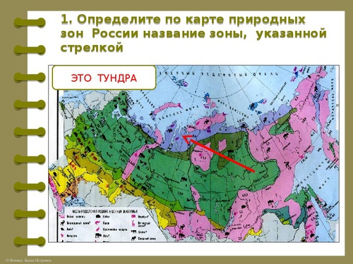 Презентация алтайский край 4 класс окружающий мир