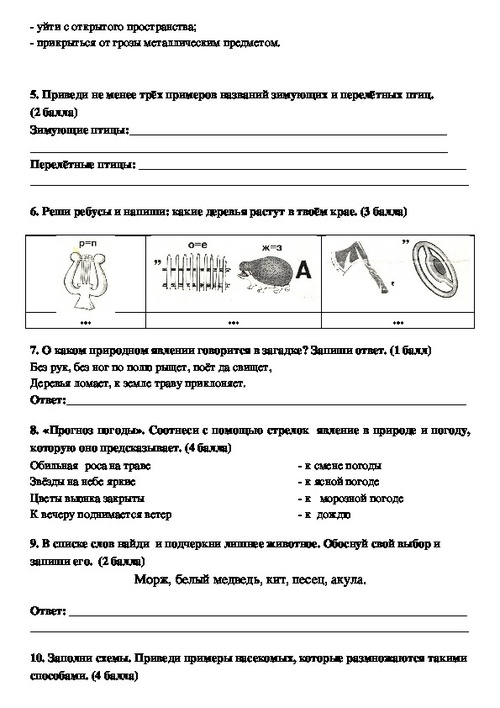 Проект по окружающему миру 2 класс