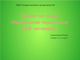 Проект Красноухая черепаха мой питомец