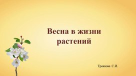 Презентация "Весна в жизни растений"