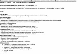 Обложка для материала Урок-занятие по развитию слухового восприятия и формированию произношения «Все профессии важны, все нужны и служат людям …»  1 класс УМК   «Школа России» А.А.Плешаков Тема «Все профессии важны, все нужны и служат людям …» Моисеева Раиса Ивановна, учитель ОГБОУ «Школа-интернат для обучающихся с нарушениями слуха», г. Томск