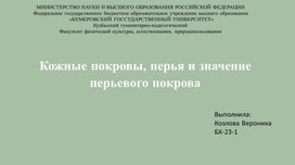 Кожные покровы птиц, перья и значение перьевого покрова