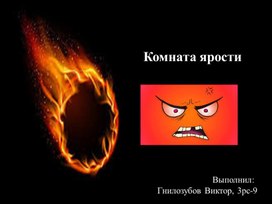 Бизнес - проект: Комната ярости