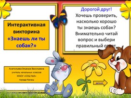 Обложка для материала Интерактивная викторина «Знаешь ли ты собак?»