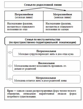 Обложка для материала Обществознание и история_схема_63