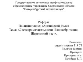 Презентация по английскому языку "Шервудский лес"